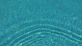Pattern, Texture, Water, Coral Reef, Transparent, Reef