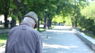 Person, Man, People, Male, Adult, Outdoors
