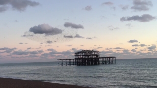 Pier, Support, Device, Sea, Water, Ocean
