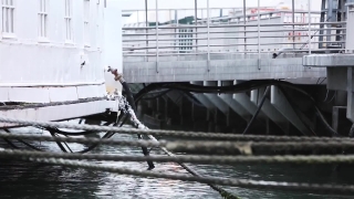 Pier, Water, Sea, Boat, Barrier, Dam
