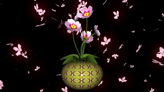 Pink, Flower, Leaf, Plant, Floral, Spring
