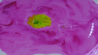 Pink, Petal, Lilac, Flower, Floral, Bright