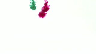 Pink, Watercolor, Flower, Petal, Floral, Flowers