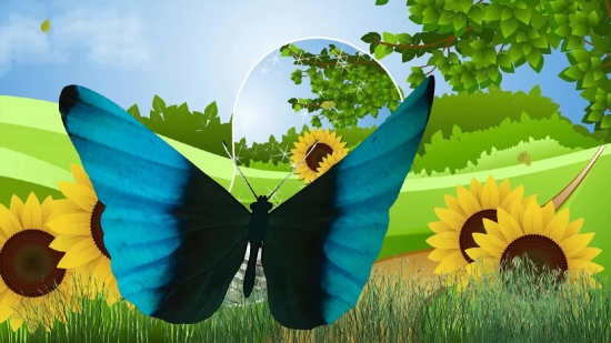 Plant, Flower, Banana, Umbrella, Sky, Spring