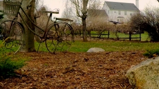 Plow, Tool, Landscape, Tree, Forest, Grass