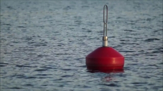 Plunger, Hand Tool, Tool, Object, Ball, Holiday