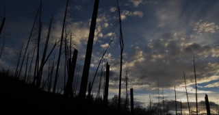 Pole, Rod, Cable, Sky, Electricity, Power