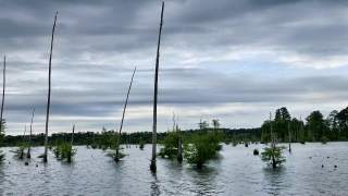 Pole, Rod, Water, Boat, Sky, Sea