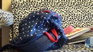 Polka Dot, Decoration, Design, Black, Colorful, Close