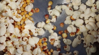 Popcorn, Corn, Chickpea, Legume, Cereal, Food