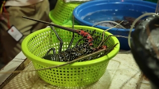 Pot, Fruit, Berry, Container, Strainer, Food