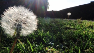 Premium HD Video Clip, HD Stock Footage, Stock Video Clip, Download