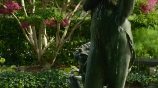 Primate, Monkey, Ape, Tree, Gorilla, Chimpanzee