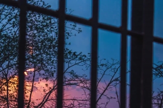 Prison, Screen, Fence, Window Screen, Correctional Institution, Barrier