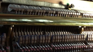 Radiator, Mechanism, Device, Upright, Piano, Keyboard Instrument