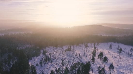 Range, Snow, Mountain, Landscape, Forest, Tree