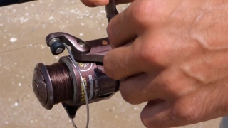 Reel, Winder, Mechanical Device, Device, Mechanism, Hand