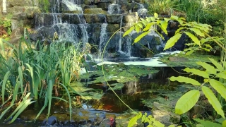 River, Aquatic, Water, Waterfall, Stream, Landscape
