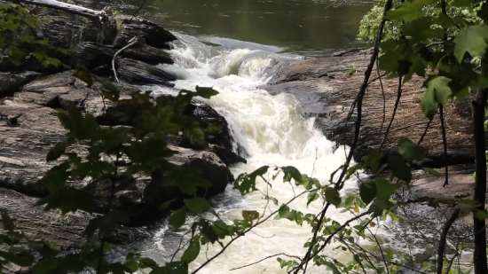 River, Channel, Water, Body Of Water, Forest, Stream