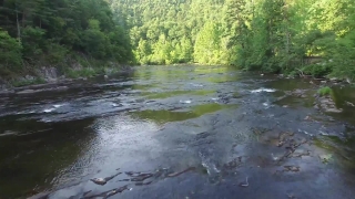 River, Forest, Body Of Water, Water, Landscape, Stream