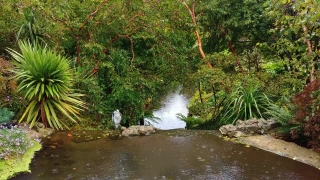 River, Forest, Channel, Water, Body Of Water, Stream