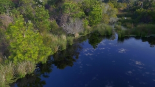 River, Forest, Lake, Landscape, Body Of Water, Tree