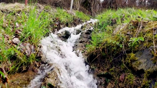 River, Forest, Landscape, Stream, Water, Waterfall