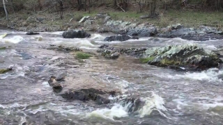 River, Forest, Stream, Water, Rock, Landscape