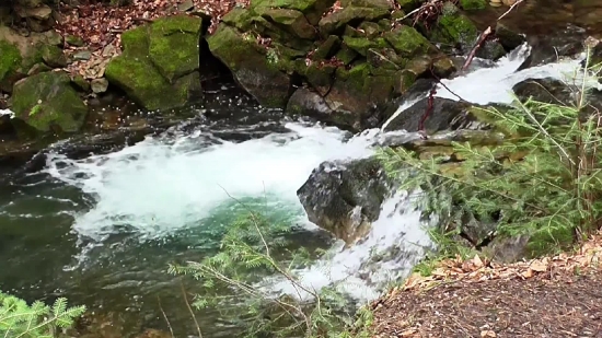 River, Forest, Water, Landscape, Stream, Channel