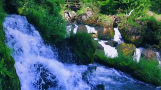River, Stream, Forest, Water, Waterfall, Landscape