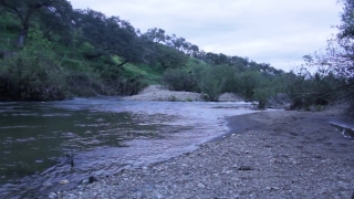 River, Stream, Landscape, Water, Body Of Water, Spring