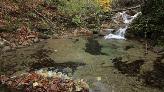 River, Stream, Water, Channel, Rock, Forest