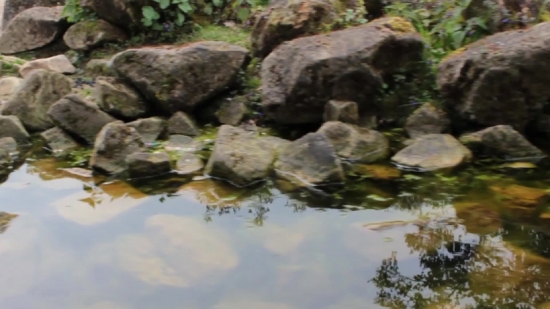 River, Stream, Water, Waterfall, Stone, Rock