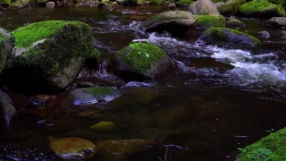 River, Stream, Waterfall, Water, Forest, Rock