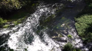 River, Water, Body Of Water, Stream, Channel, Forest