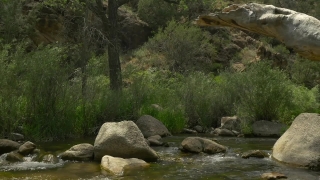 River, Water, Forest, Landscape, Stream, Channel