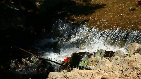 River, Water, Mountain, Stream, Landscape, Rock
