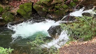 River, Water, Stream, Alligator, Waterfall, Landscape