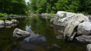 River, Water, Stream, Channel, Forest, Landscape