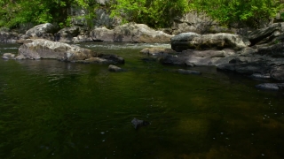 River, Water, Stream, Forest, Waterfall, Landscape