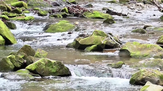 River, Water, Stream, Landscape, Forest, Rock
