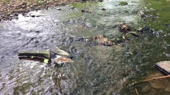 River, Water, Stream, Stone, Rock, Landscape
