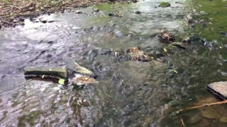 River, Water, Stream, Stone, Rock, Outdoor