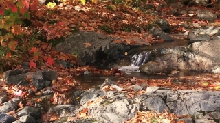 River, Water, Waterfall, Stream, Rock, Mountain