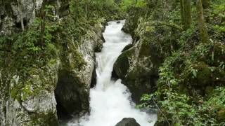 River, Waterfall, Stream, Body Of Water, Channel, Forest