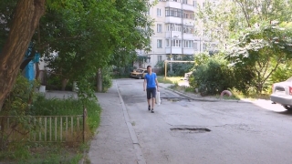 Road, Tree, Sidewalk, Park, Trees, Grass