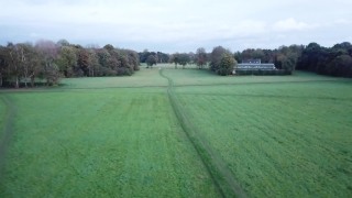 Rough, Course, Golf, Grass, Sport, Landscape