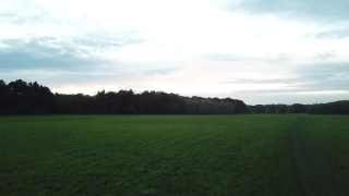 Rough, Grass, Field, Landscape, Sky, Meadow