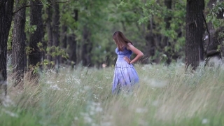 Rustic, Grass, Summer, Lifestyle, Happy, Outdoor
