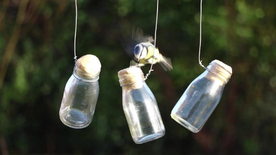 Saltshaker, Container, Shaker, Bottle, Glass, Light Bulb